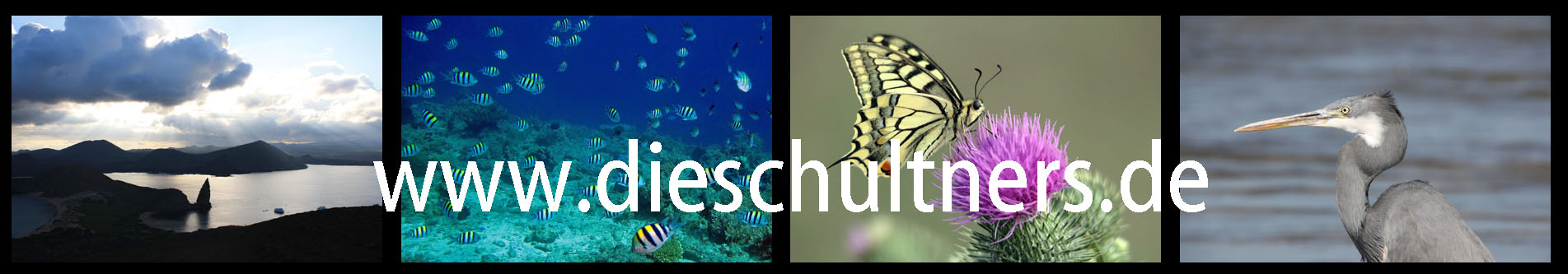 Banner www.dieschultners.de
